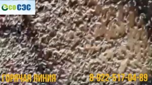 Обработка удаление трупного запаха в квартире!