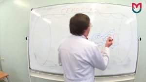 Гемостаз первая часть