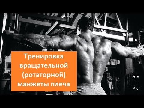 Тренировка вращательной (ротаторной) манжеты плеча смотреть онлайн