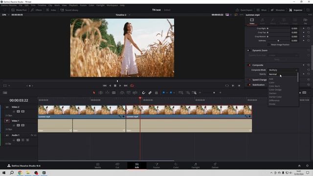 Fly Through Text Effect In DaVinci Resolve