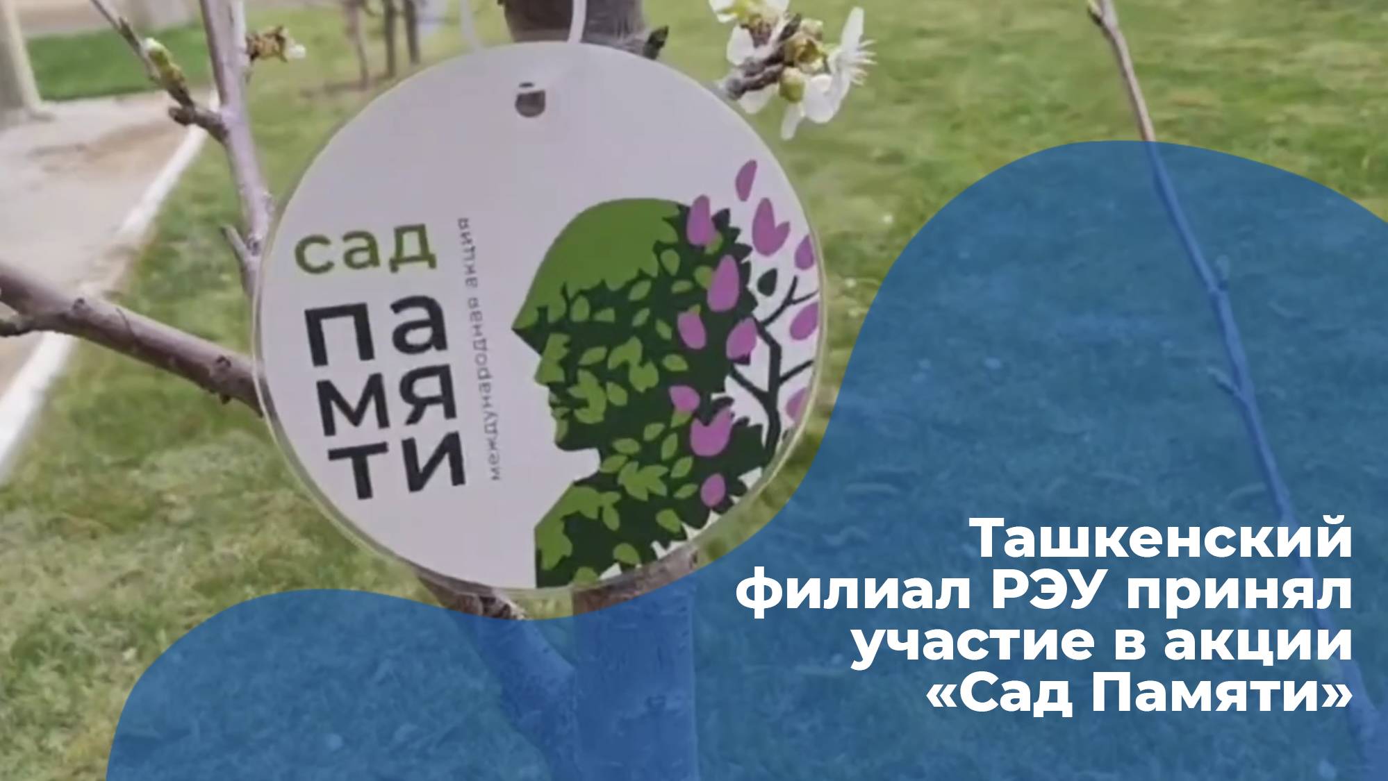 Ташкентский филиал РЭУ присоединился к международной акции «Сад Памяти» смотреть онлайн
