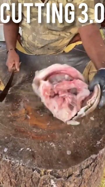 GIANT HEAD | FISH HEAD STRONG CUTTING AT KASIMEDU #shorts смотреть онлайн