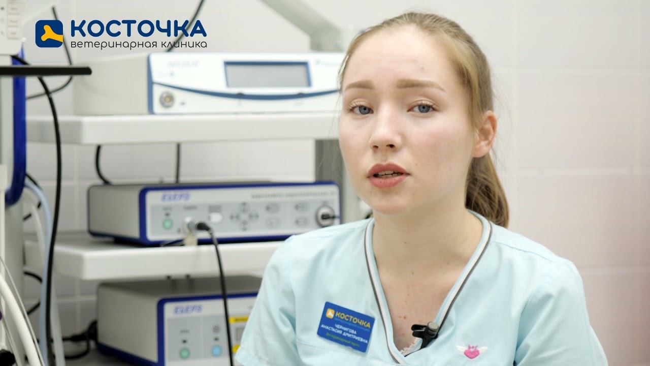 Зачем нужен анестезиолог смотреть онлайн