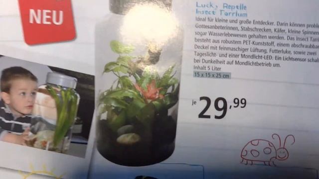 #2 Der Japanische Rosenkäfer | INSEKTO смотреть онлайн