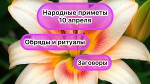 Народные приметы на 10 апреля 2025 года: хорошие предзнаменования дня и предупреждающие знаки.