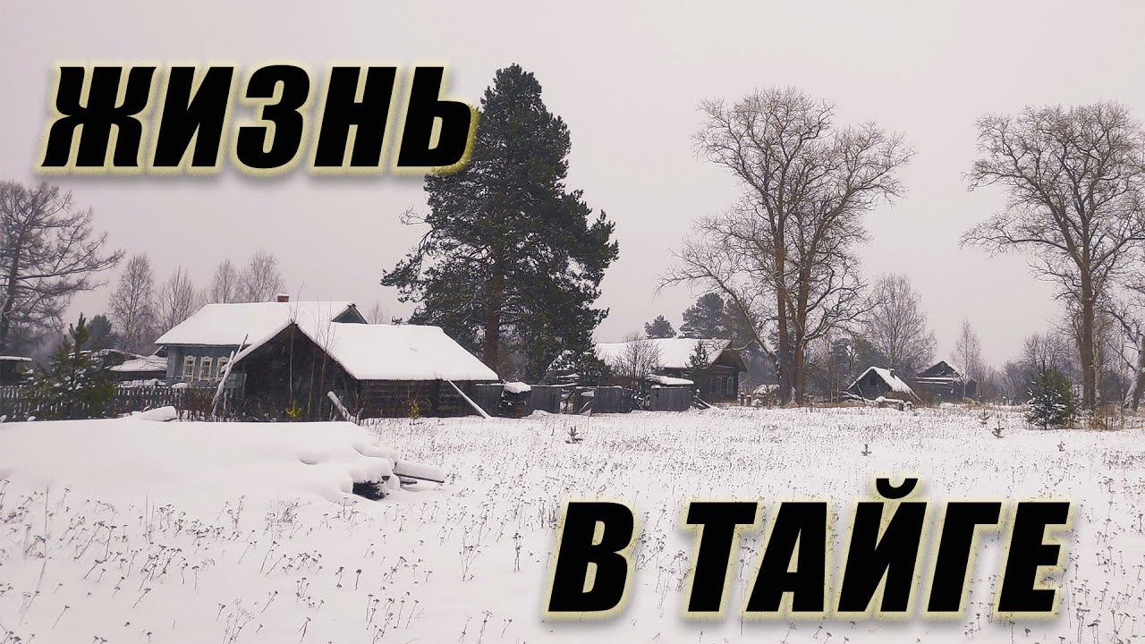 МЕРТВЫЕ ЗАБРОШЕННЫЕ ДЕРЕВНИ В ТАЙГЕ, как люди жили без дорог и связи всего 50 лет назад смотреть онлайн
