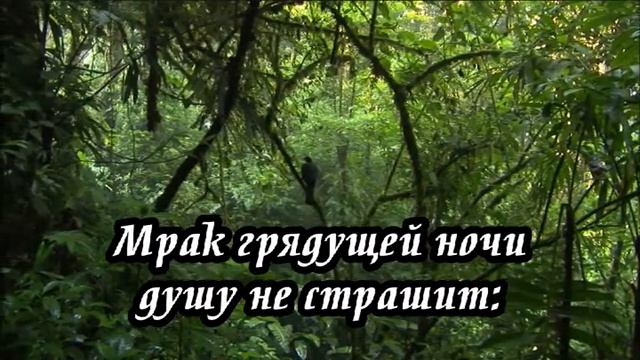 Ксения Лапицкая - Как поток могучий смотреть онлайн