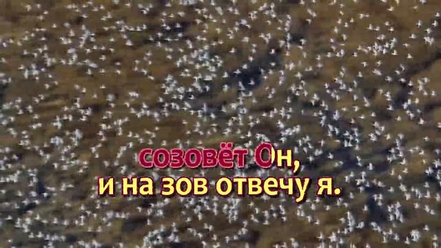 В час, когда труба Господня смотреть онлайн