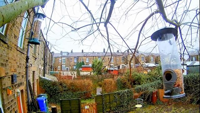 Garden Spy Cam 8 смотреть онлайн