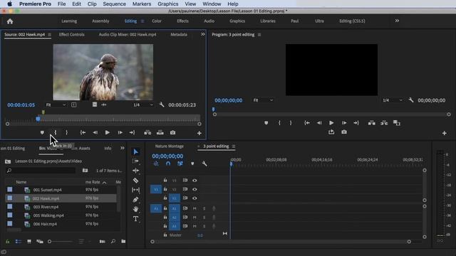 How to use 3 Point Editing iN Premiere Pro CC 2020 смотреть онлайн