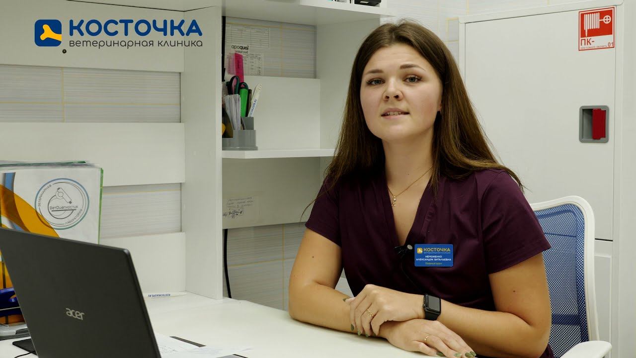 Кровь в моче у животных смотреть онлайн