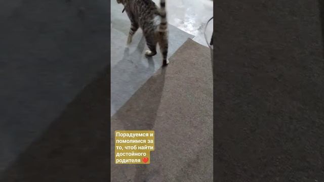 26 декабря 2023 г. смотреть онлайн
