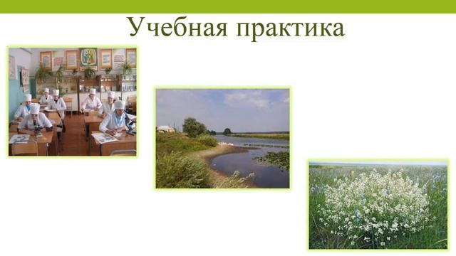 О специальности Фармация