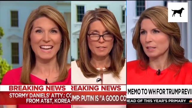 MSNBC Host Lying For 30 Minutes Straight | 