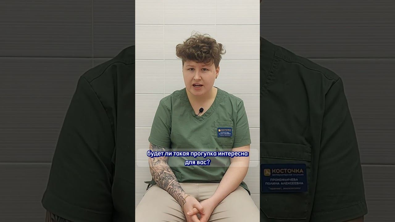 План прогулки смотреть онлайн