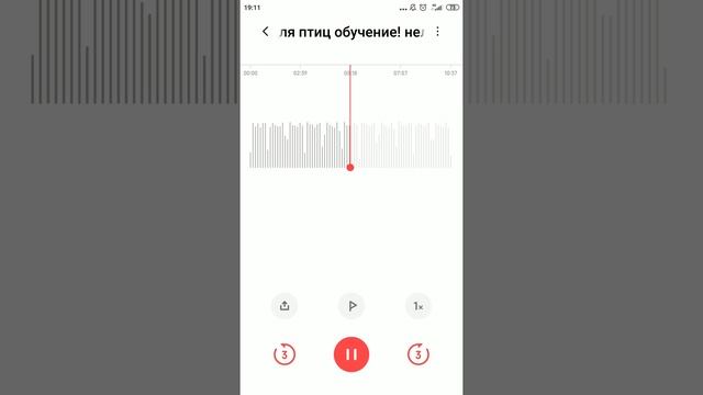 Обучение птиц смотреть онлайн