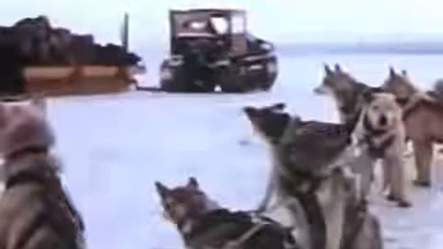 The Secret Land. Antarctica Operation Highjump Documentary 1948