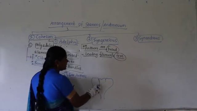 NSR IMPULSE VIDEO CLASS#jr botany#L30 смотреть онлайн