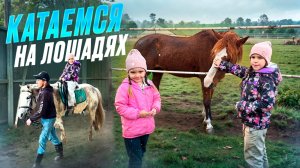 Катаемся на лошадях