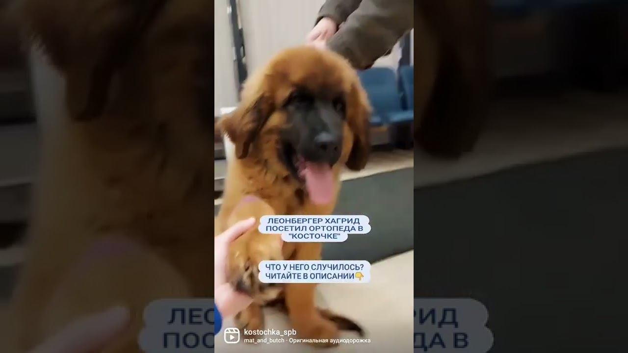 Дар Божий=) смотреть онлайн