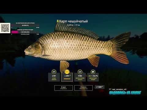 РУССКАЯ РЫБАЛКА 4 оз. СТАРЫЙ ОСТРОГ Ловил Амура а поймал КАРПА!!!!! смотреть онлайн