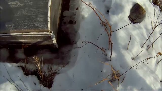 21 марта вода в теплице дача под архангельском смотреть онлайн