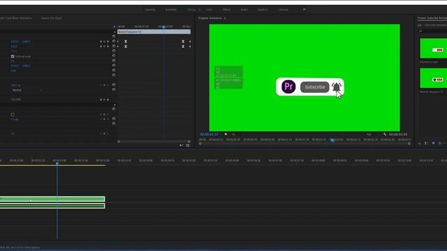 Custom Profile Picture Subscribe Animation (self-made Animation) | Tutorial Premiere Pro