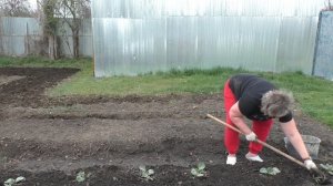 Мама и 13 детей - Дела огородные - Потрясающее тесто на пиццу, можно сказать самое лучшее.