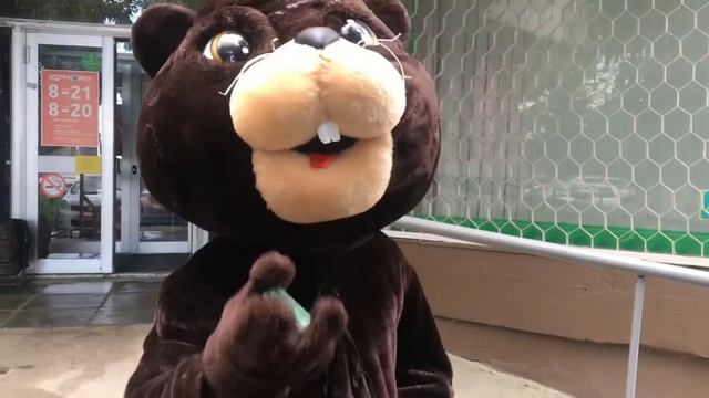 Бобер предохраняется смотреть онлайн