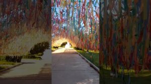 Утренняя прогулка в санатории Шуйши.