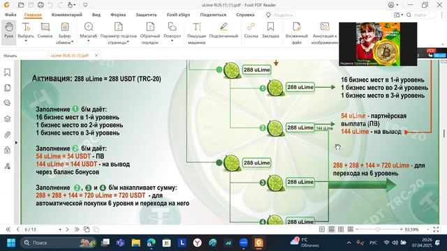 Презентация Лайм Академии