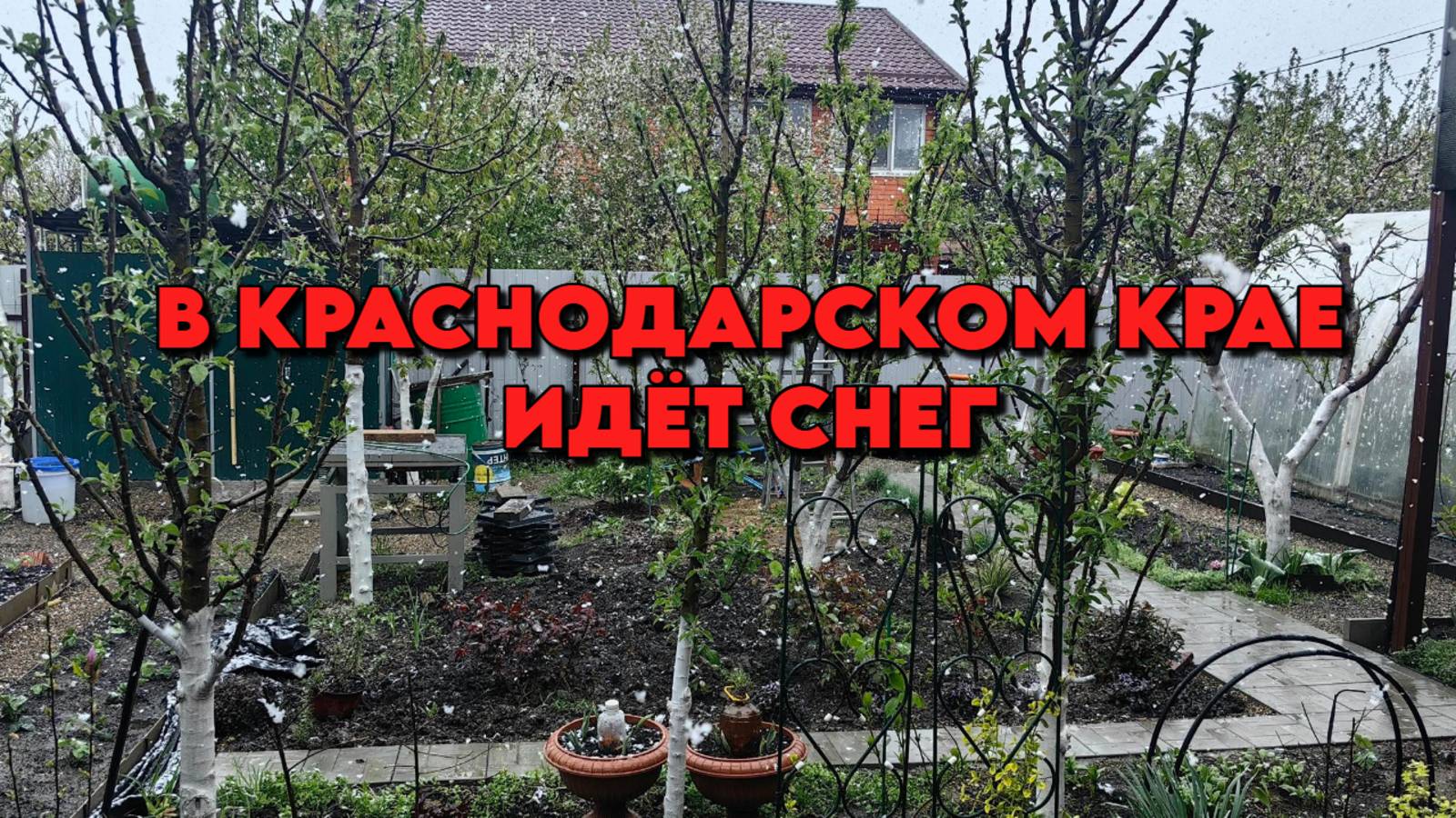 872 Жизнь на Кубани/Ремонт газонокосилки своими руками/Переехали на юг смотреть онлайн