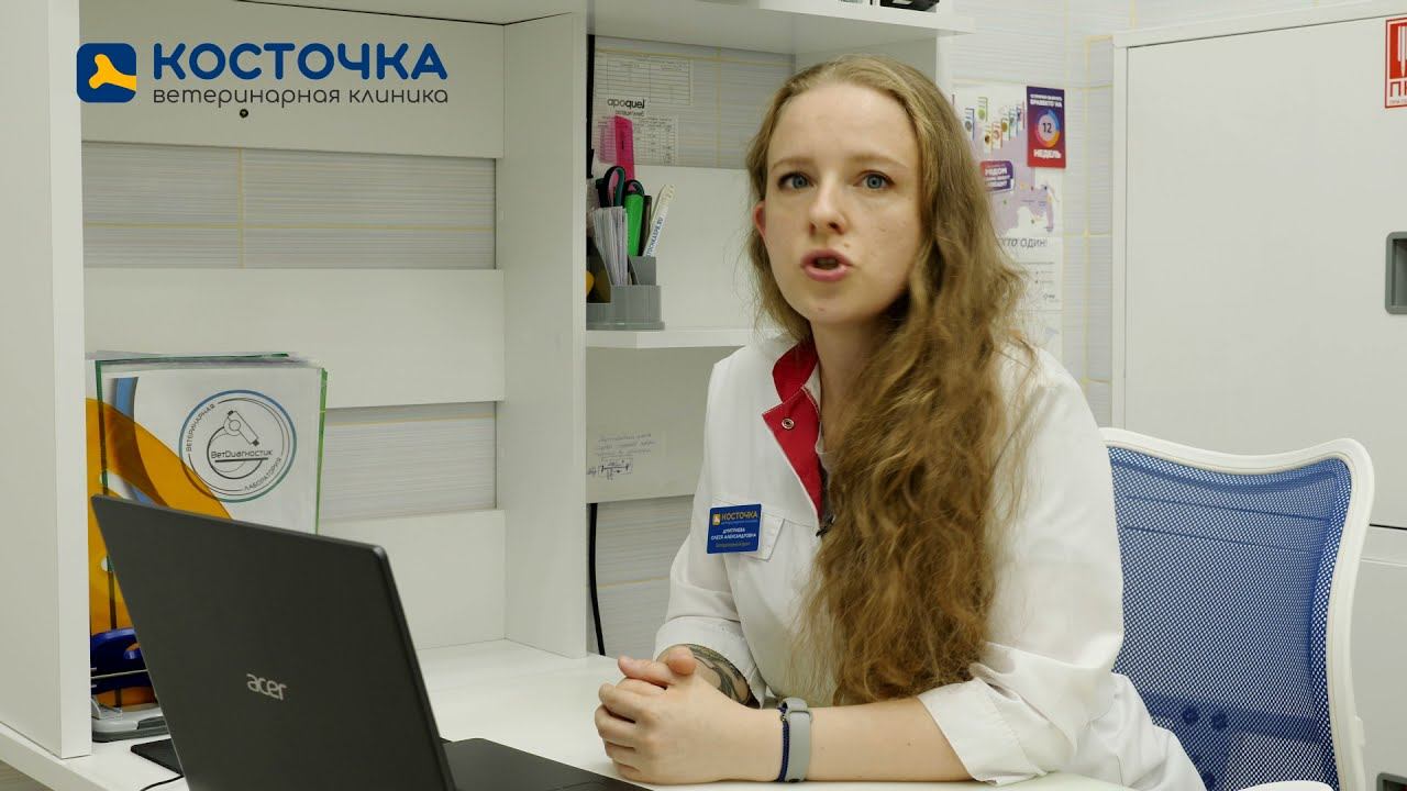 Корм или натуральный рацион? смотреть онлайн