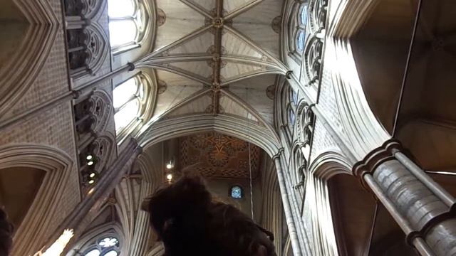 Westminster Abbey смотреть онлайн