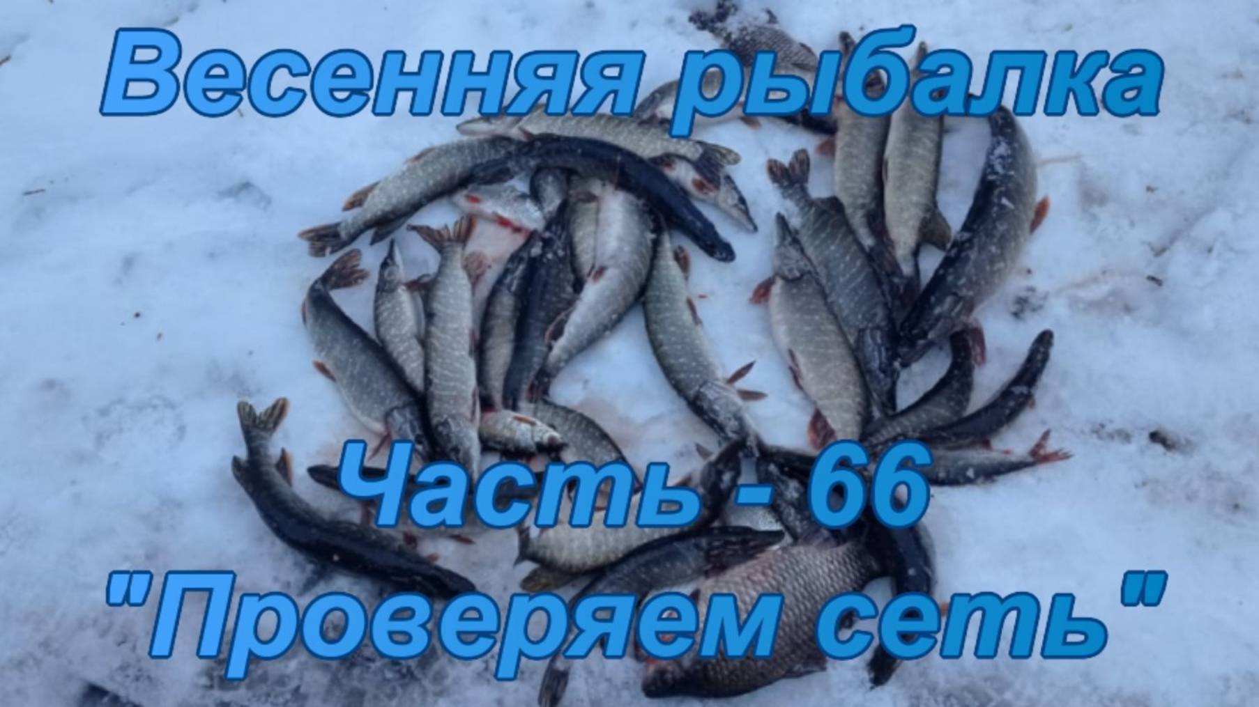 Весенняя рыбалка. Часть - 66. "Проверяем сеть". смотреть онлайн