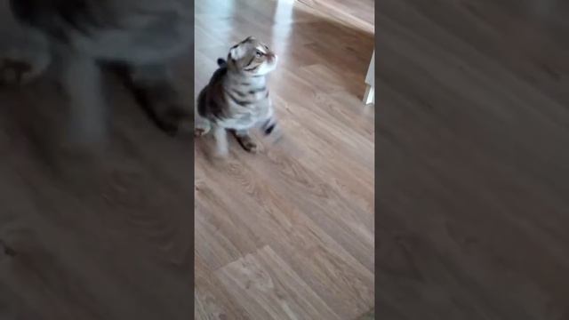 19 октября 2019 г. смотреть онлайн