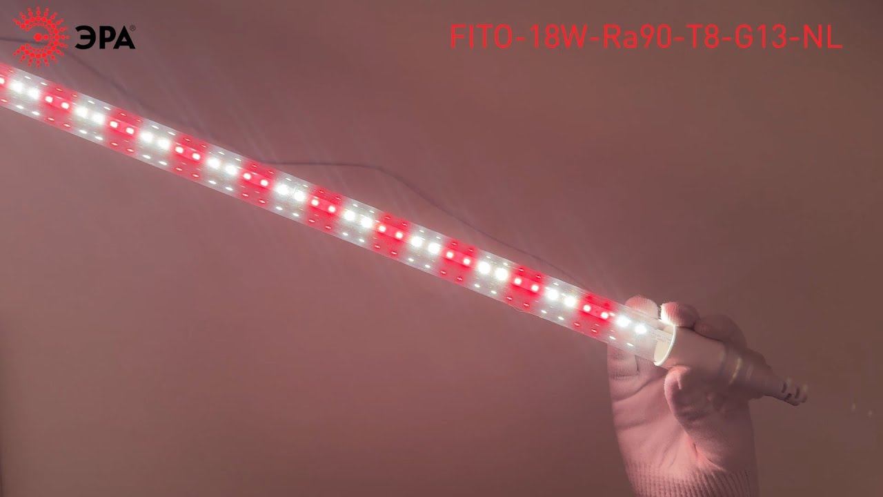 Фитолампа для растений светодиодная ЭРА FITO-18W-Ra90-Т8-G13-NL полного спектра 18 Вт Т8 G13 смотреть онлайн