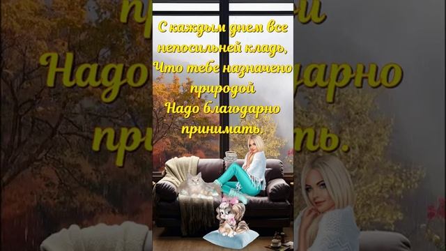 У природы нет плохой погоды.... смотреть онлайн