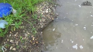 По зову души!