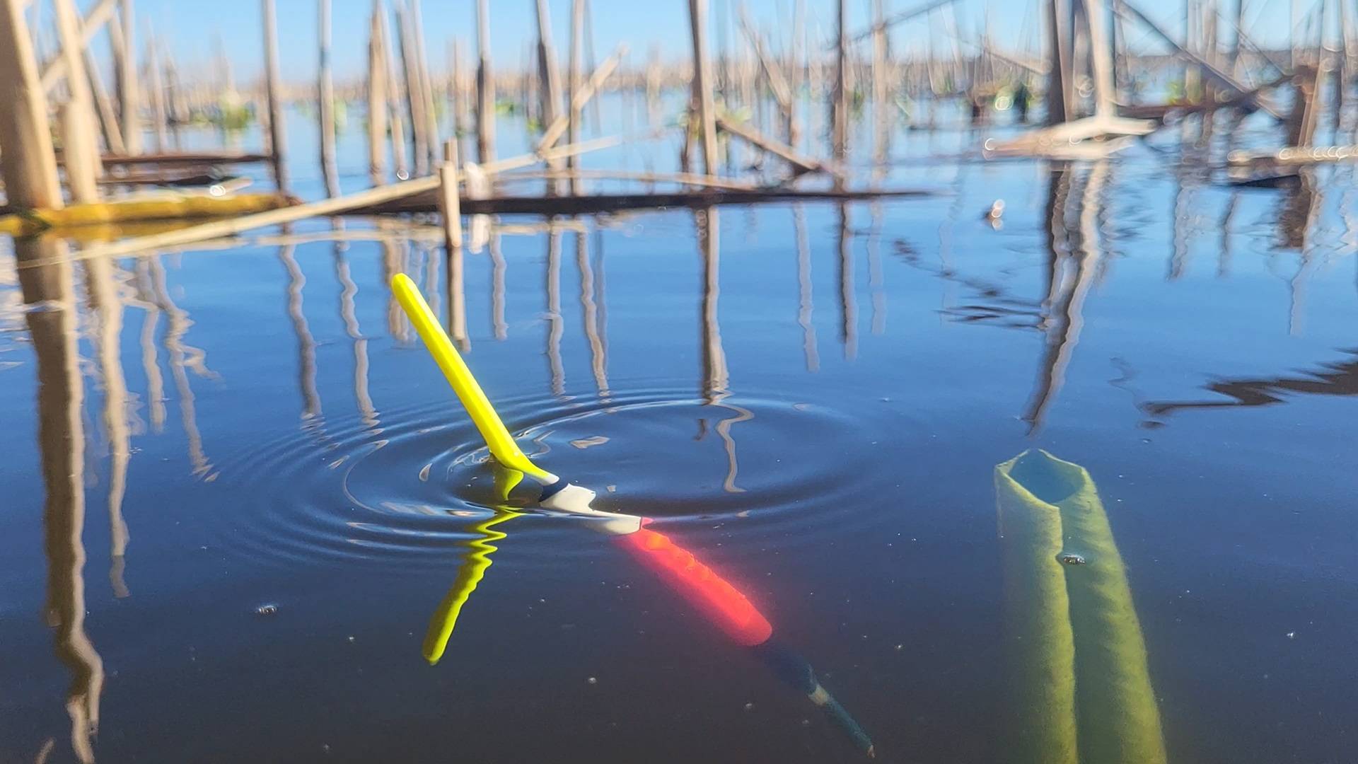 ЗАБРАЛСЯ В ЛОГОВО РЕАЛЬНЫХ КАРАСЕЙ. Рыбалка на поплавок смотреть онлайн