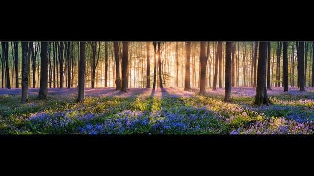 Пилот - Ждите солнца (Wait for the sun) смотреть онлайн