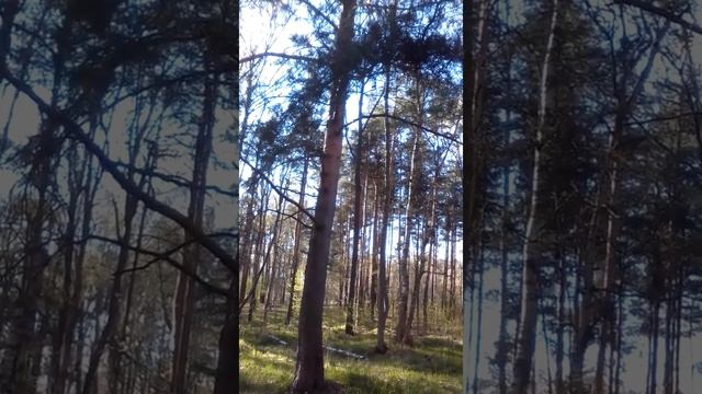 Сейчас вылетит птичка смотреть онлайн