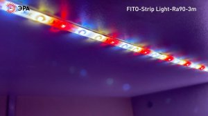 Светодиодная лента для растений ЭРА FITO-Strip Light-Rа90-3m полного спектра 3м IP65 с адаптером 12V