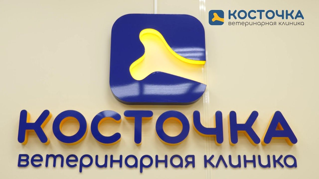 Ветеринарная клиника "Косточка" смотреть онлайн