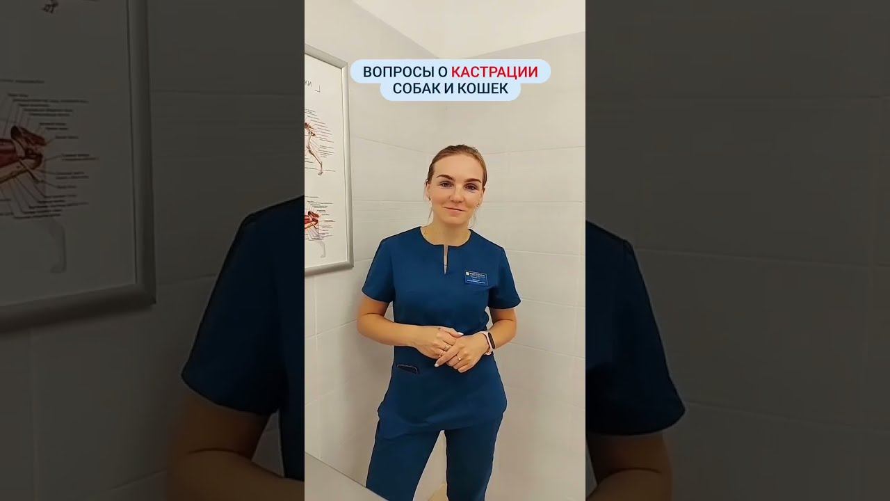 Частые вопросы о кастрации смотреть онлайн