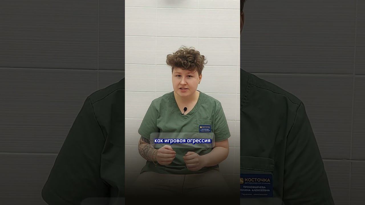 В каком возрасте брать котенка? смотреть онлайн