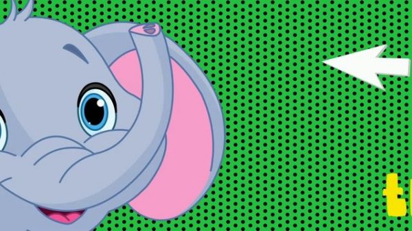 Wild animals body parts talking flashcards