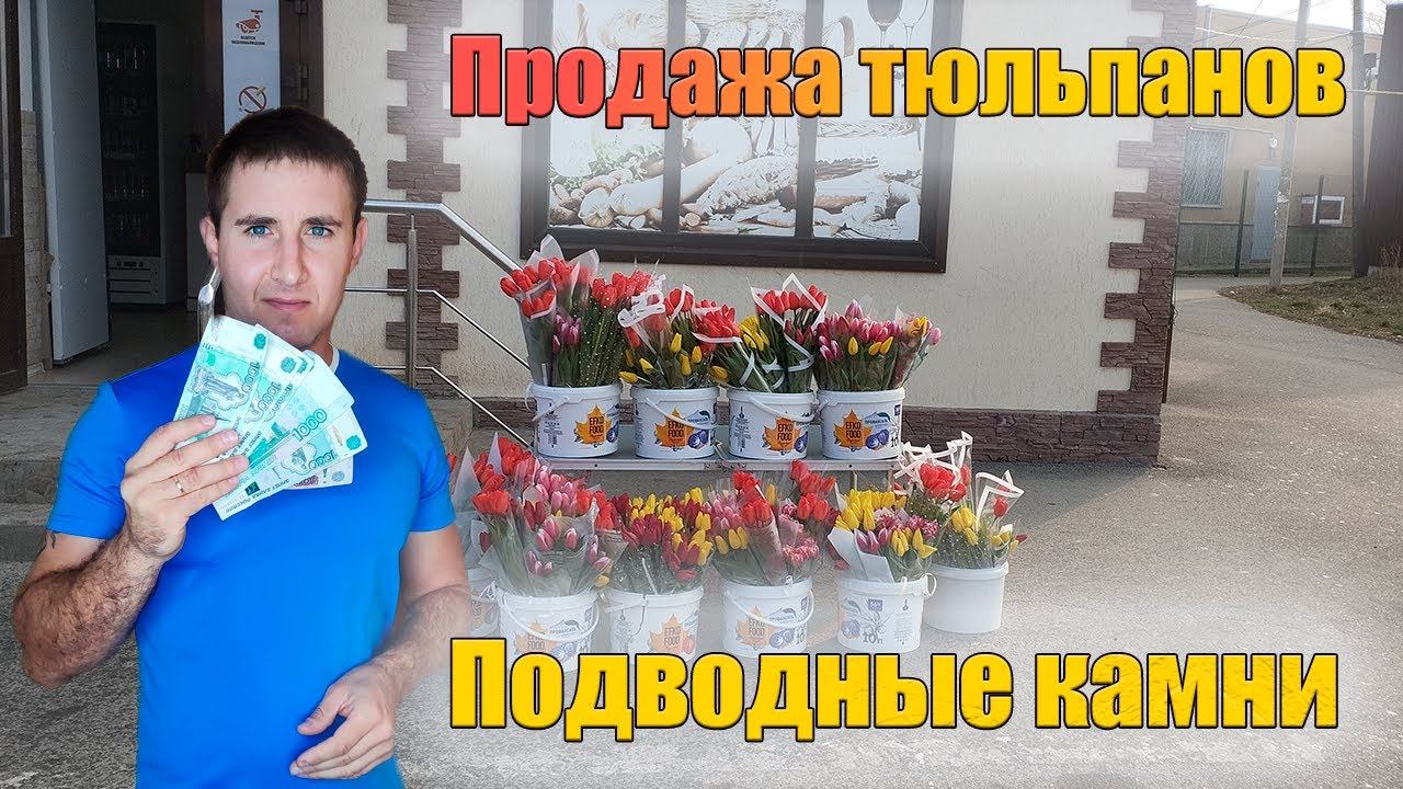 Продажа тюльпанов на 8 марта. мой опыт. смотреть онлайн