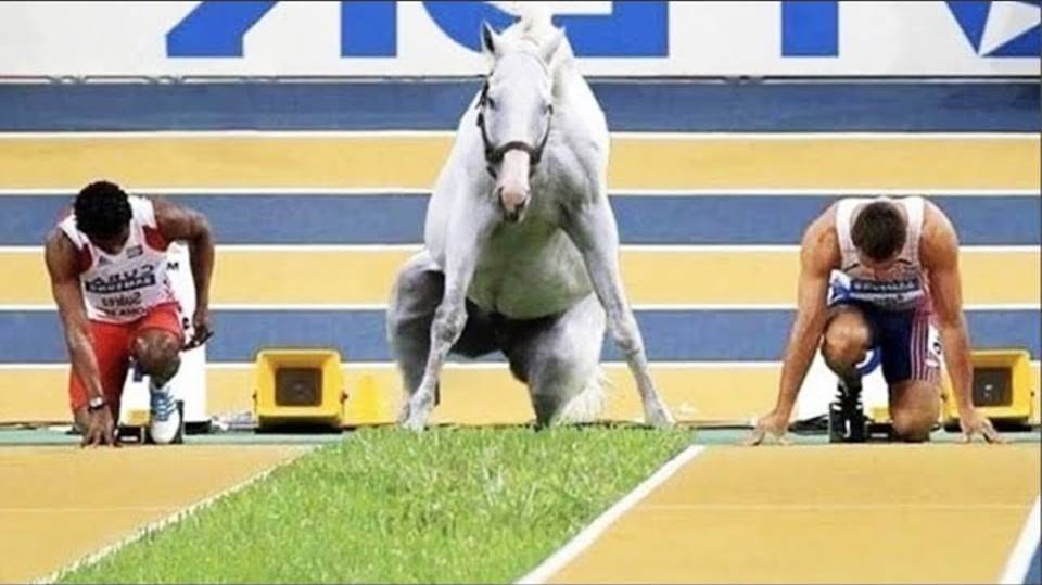 Я думаю, что животное может быть милым 😂 смотреть онлайн