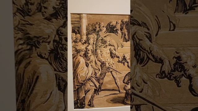 DISEGNO. Итальянские рисунки и гравюры эпохи Возрождения и маньеризма. Эрмитаж.